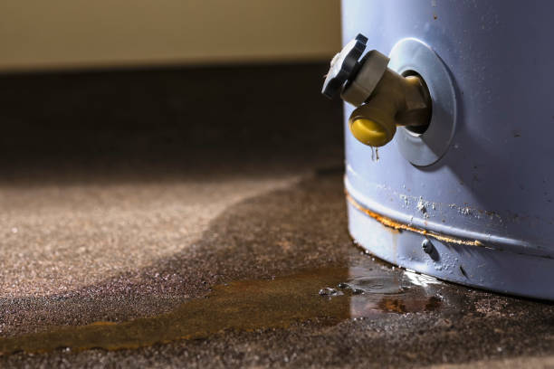 Trusted Pewee Valley, KY Water damage restoration Experts
