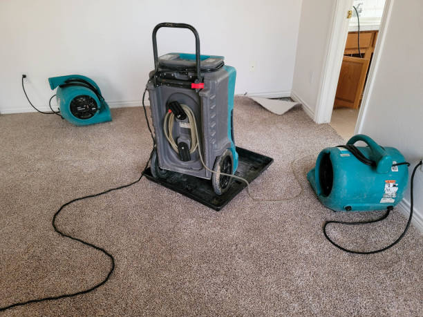 Best Water damage restoration near me  in Pewee Valley, KY