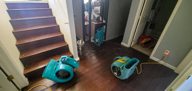 Best 24/7 water damage repair  in Pewee Valley, KY