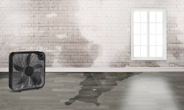 Water damage restoration mold remediation in Pewee Valley, KY