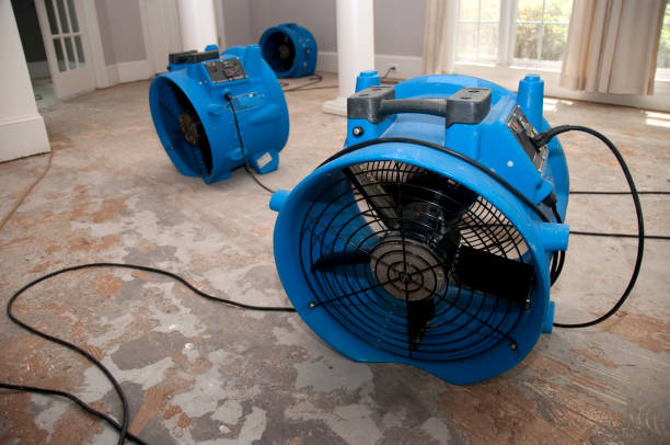 Best Sewage cleanup and water damage restoration  in Pewee Valley, KY
