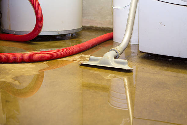 Best Flood damage cleanup  in Pewee Valley, KY