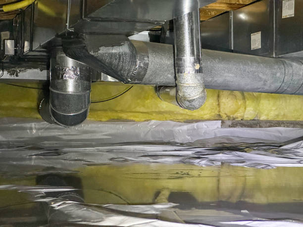Best Professional water damage repair  in Pewee Valley, KY