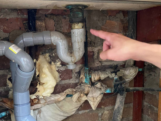 Best Professional water damage repair  in Pewee Valley, KY