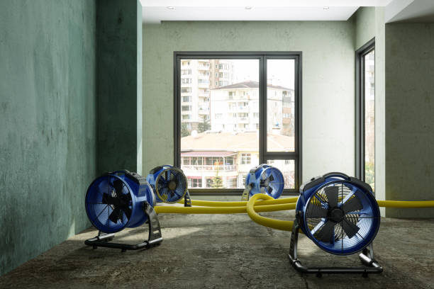 Best Water damage cleanup near me  in Pewee Valley, KY